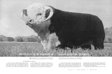 Appearing above is one of the aristocrats of Cattledom, MW Larry Domino 37th, distinguished son of the immortal