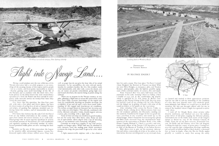 Tri-Pacer at end of runway, Pine Springs airstrip