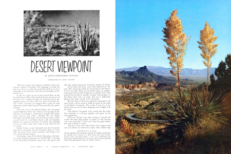 DESERT VIEWPOINT