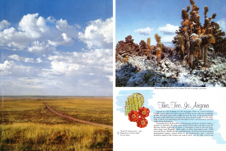 This, Too, Is Arizona