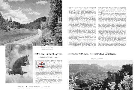 Road through the Kaibab