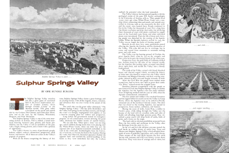 Sulphur Springs Valley is cattle