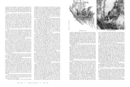 THE ROADRUNNER IN FACT AND FOLKLORE