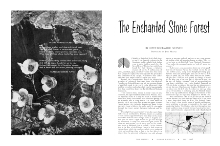 THE ENCHANTED STONE FOREST