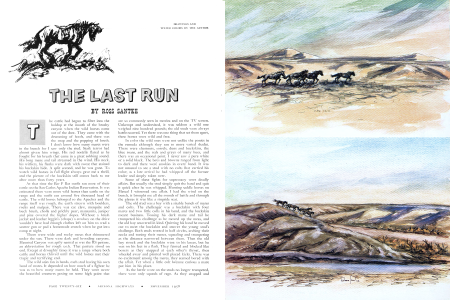 THE LAST RUN