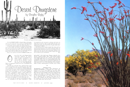DESERT DRUG STORE