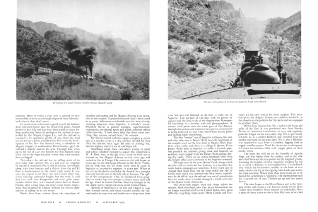 Bringing in a load of mine timber below Apache Leap
