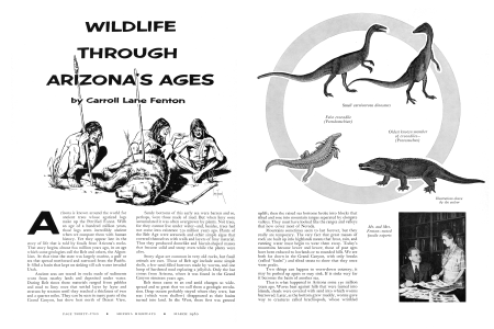WILDLIFE THROUGH ARIZONA'S AGES