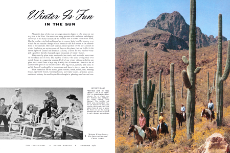 "Winter Day in the Desert"
