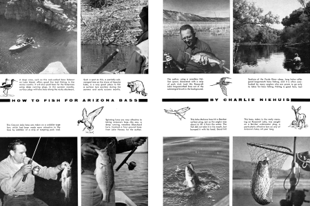 HOW TO FISH FOR ARIZONA BASS