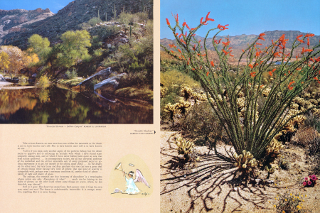 "Peaceful Retreat Sabino Canyon"