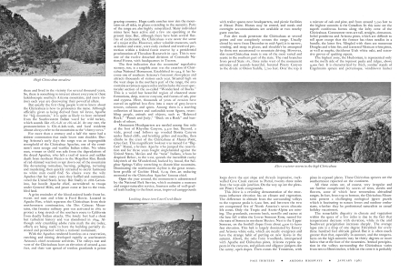 The Chiricahua Mountains
