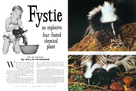 Fystie