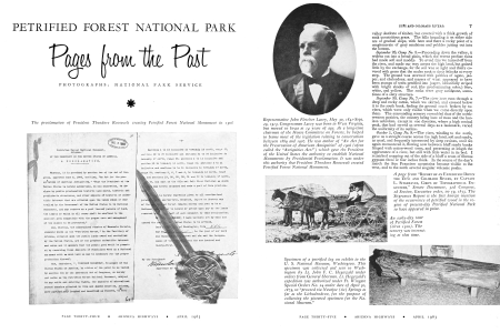 Petrified Forest National Park: Pages from the Past