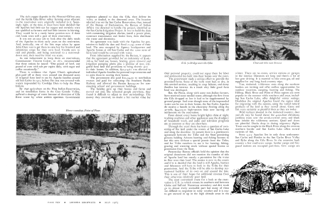 Horse roundup-Point of Pines