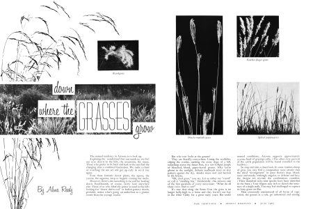 DOWN WHERE THE GRASSES GROW