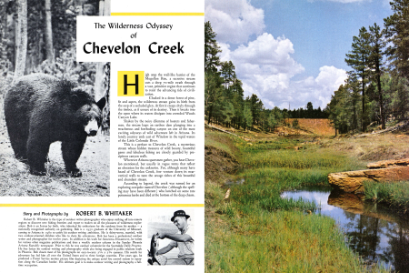 The Wilderness Odyssey of Chevelon Creek