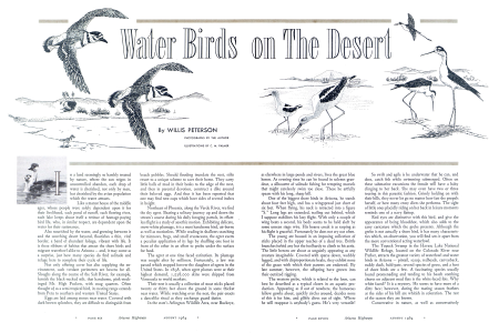 Water Birds on the Desert
