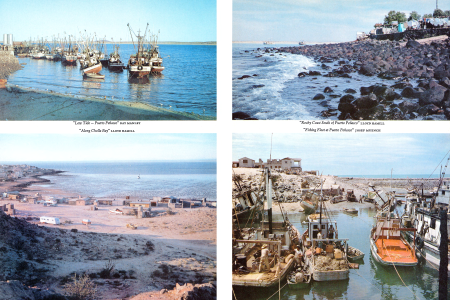 "Low Tide - Puerto Peñasco"