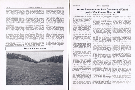 Deer in Kaibab Forest