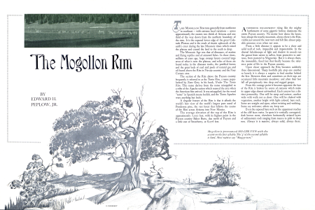 The Mogollon Rim
