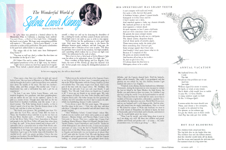 THE WONDERFUL WORLD OF SYLVIA LEWIS KINNEY