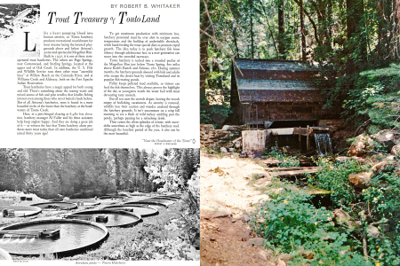 Trout Treasury of Tontoland