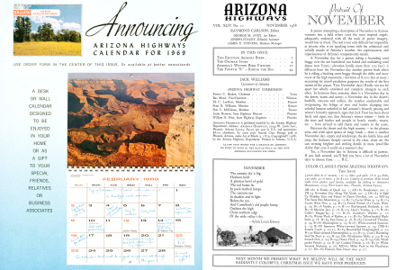 TWO EXCITING ARIZONA BIRDS