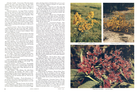 Dissecting the Desert Bloom