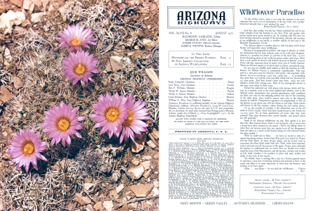 Mysteries of the Desert Flowers