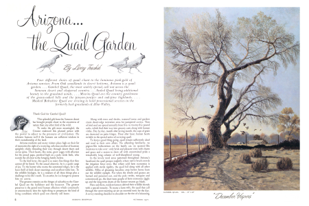 The Quail Garden
