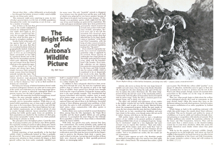 The Bright Side of Arizona's Wildlife Picture