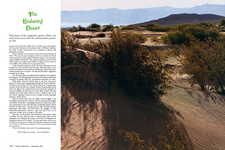The Enduring Desert