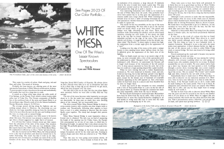 The Vermillion Cliffs, part of the color and drama of the area.