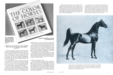 The Color of Horses