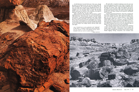 PETRIFIED FOREST NATIONAL PARK