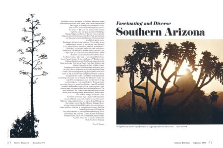 Southern Arizona — Diverse and Fascinating