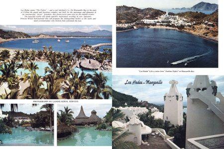 LANDIS AERIAL SURVEYS