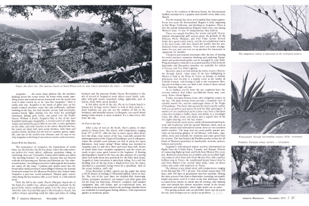 Taxco, the silver city. The famous church of Santa Prisca with its twin towers dominates the town.