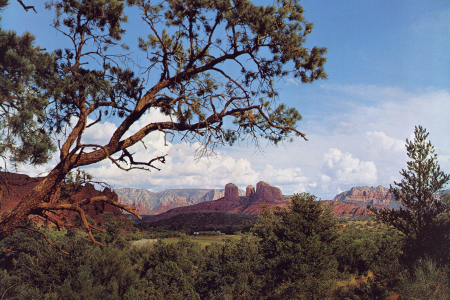 Distant Buttes of Oak Creek Canyon
