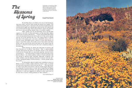 Spring palette of gold