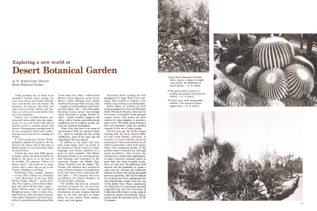 Desert Botanical Garden