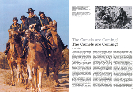 The Camels Are Coming!