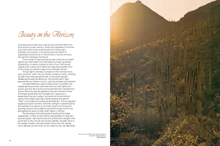 Sunrise on the desert near Tucson awakens a forest of Saguaro cactus.