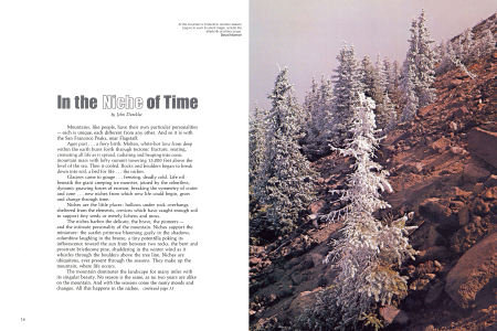 In the Niche of Time