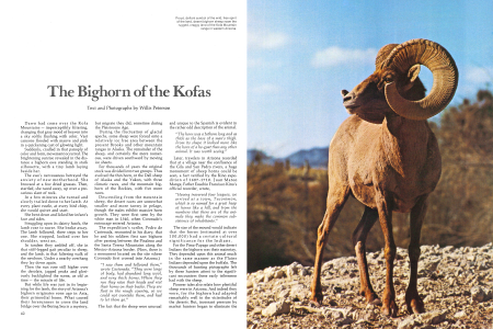 The Bighorn of the Kofas