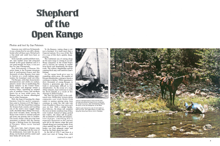 Camped along a high country trail, his features etched by years of sun, wind and far distant horizons, Jean Etchamendy reflects the spirit of the old sheepmen of the West.