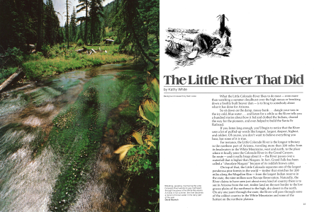 The Little River That Did