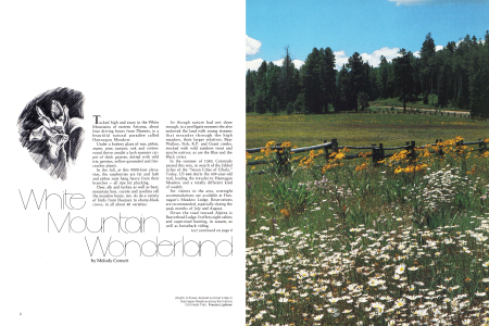 A flower-decked summer's day in Hannagan Meadow along the historic Coronado Trail.