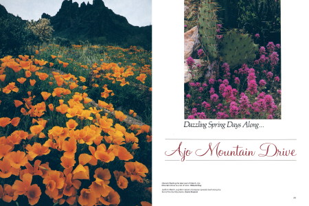 Ajo Mountain Drive